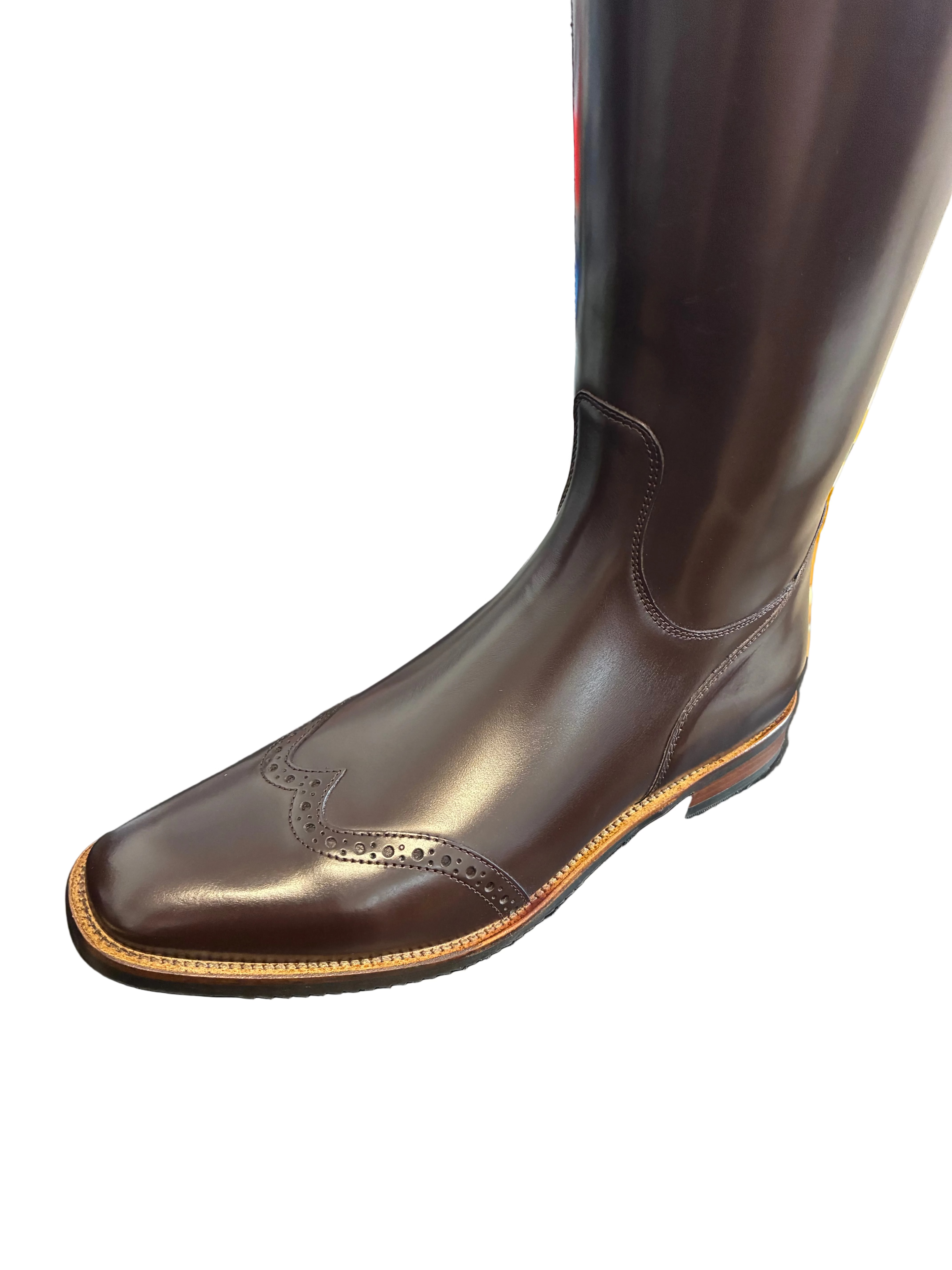 Cavallo Insignis Lux Slim Lyra