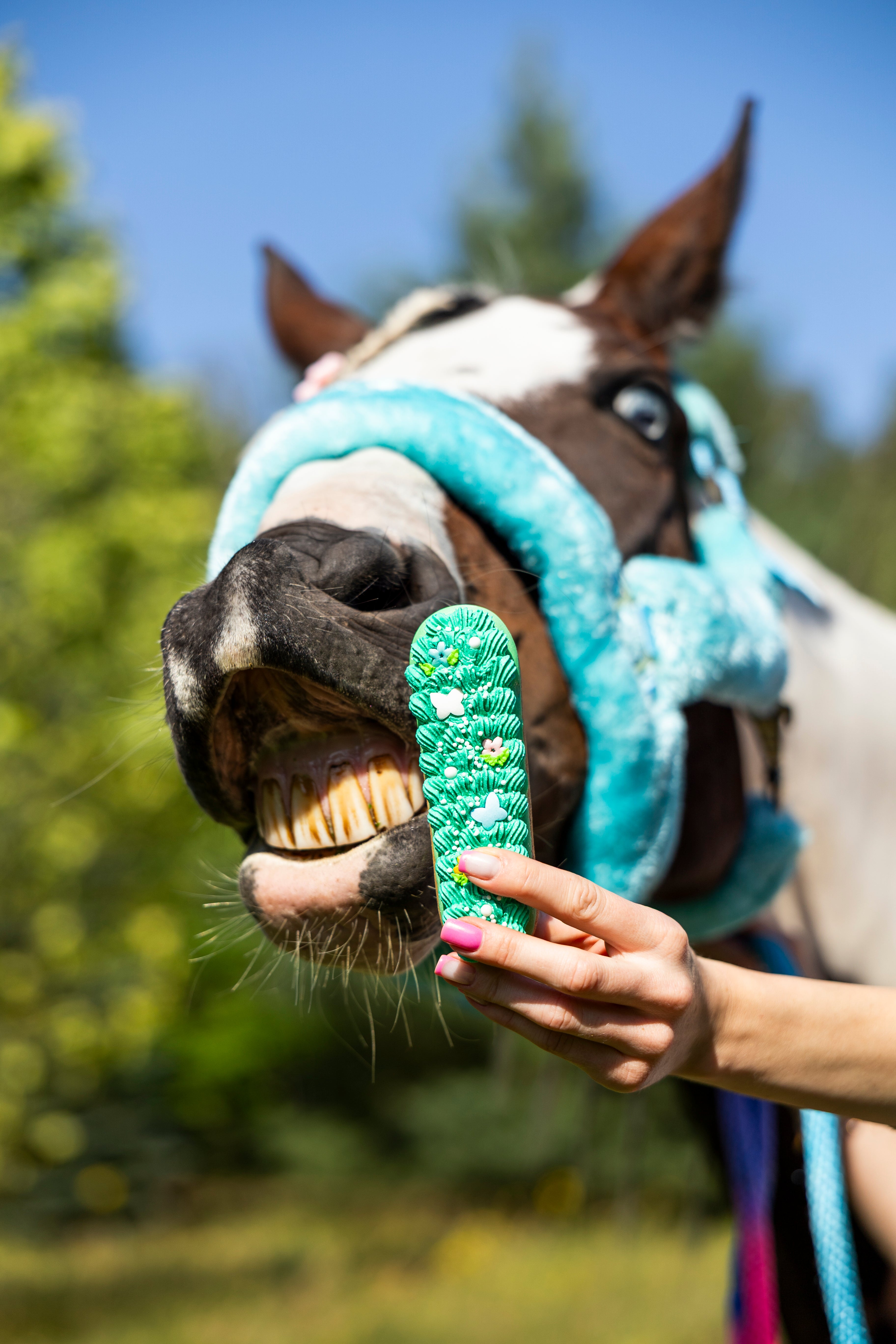 Candy Horse Rainbow World Eclair