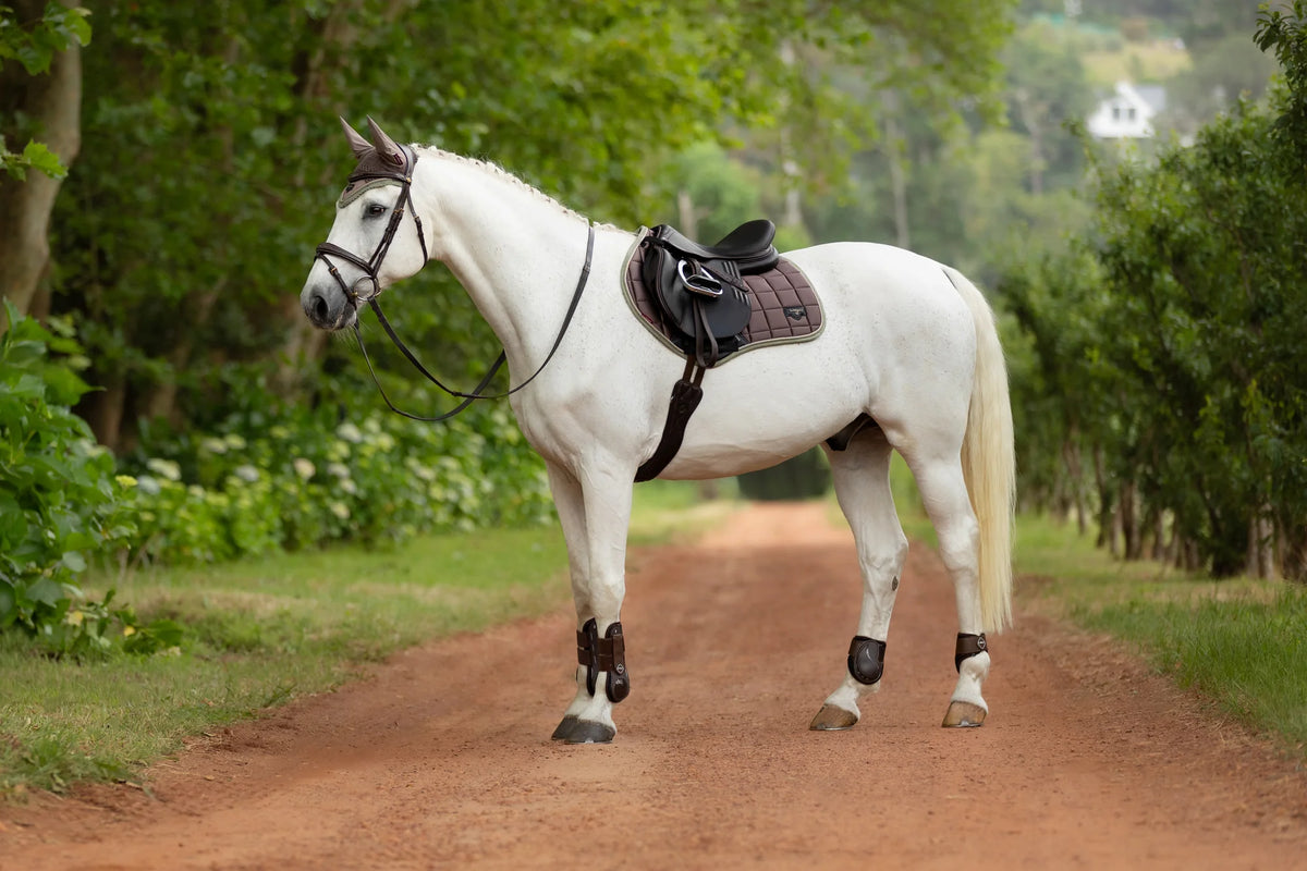 LeMieux Loire Satin Fly Hood-OUTLET