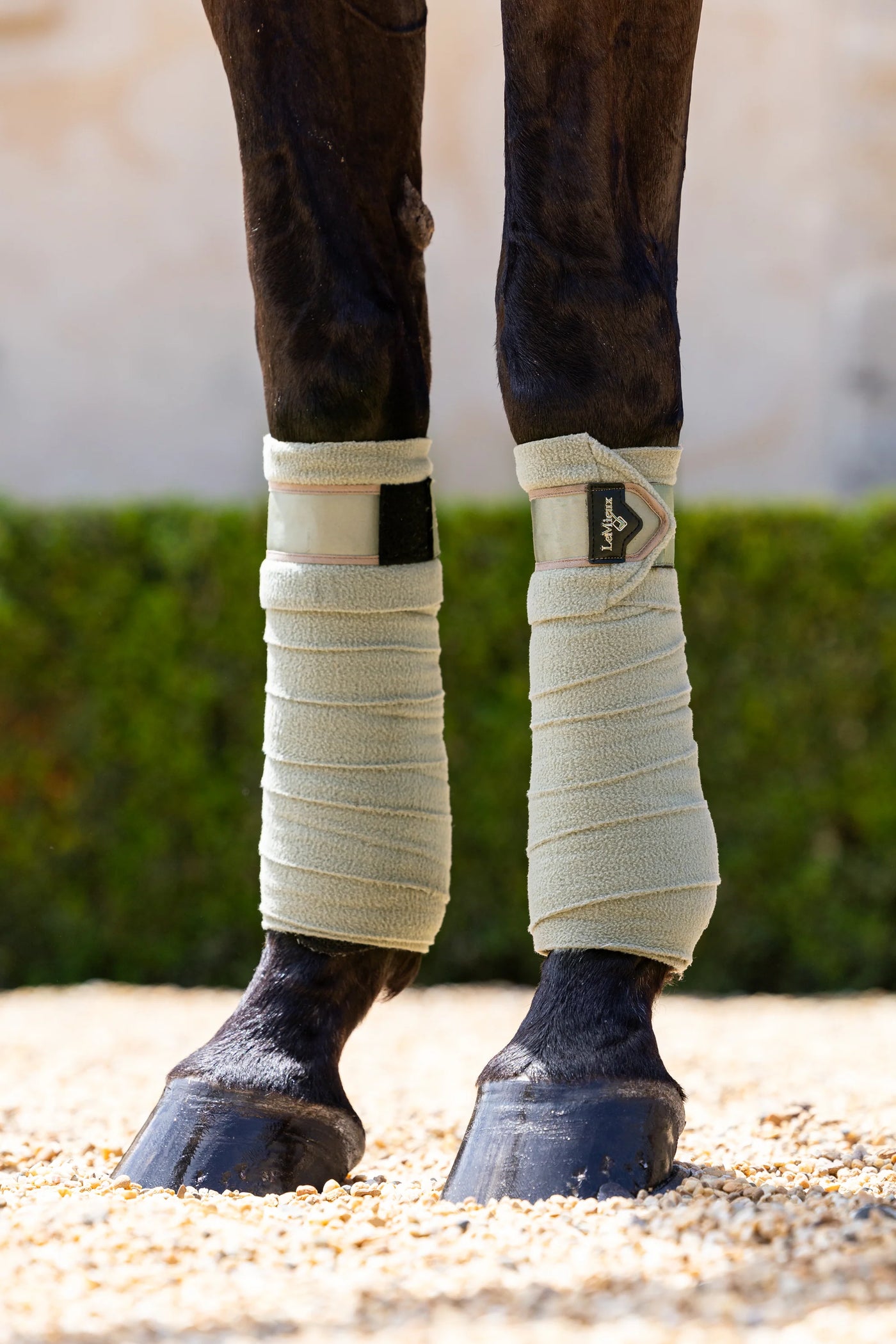 LeMieux Loire Polo Bandage