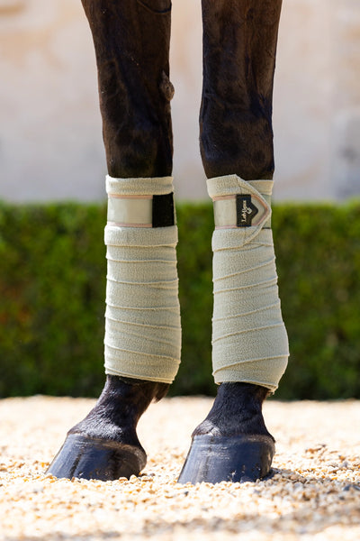 LeMieux Loire Polo Bandage