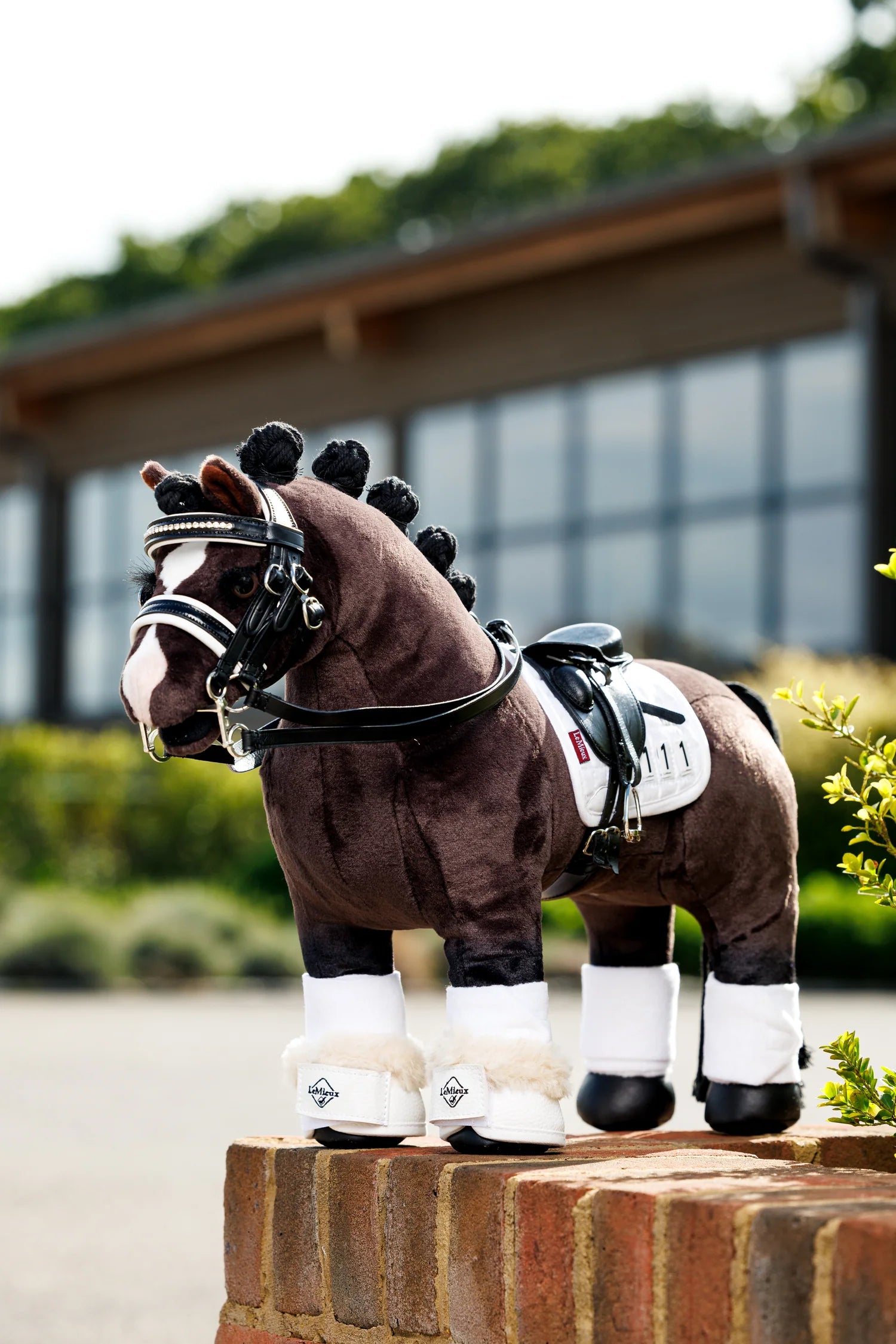 LeMieux Mini Pony Klokker