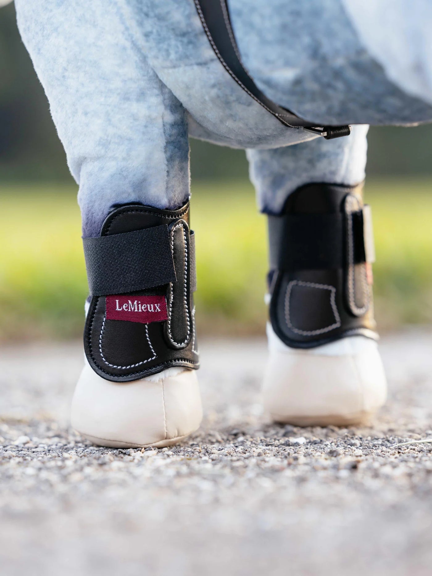 LeMieux Mini Pony Springgamacher