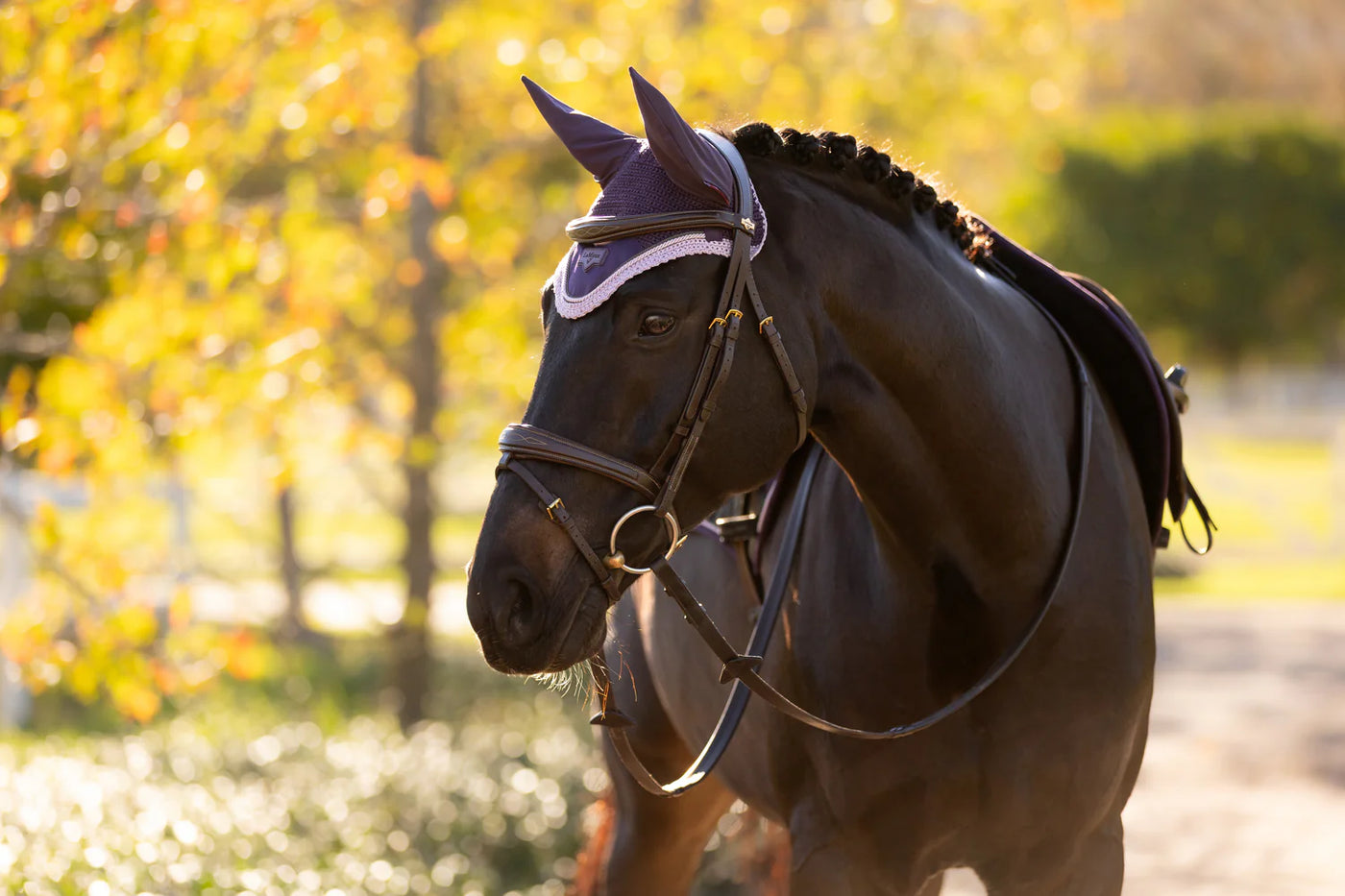 LeMieux Loire Fly Hood