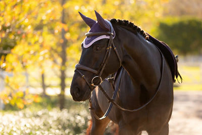 LeMieux Loire Fly Hood