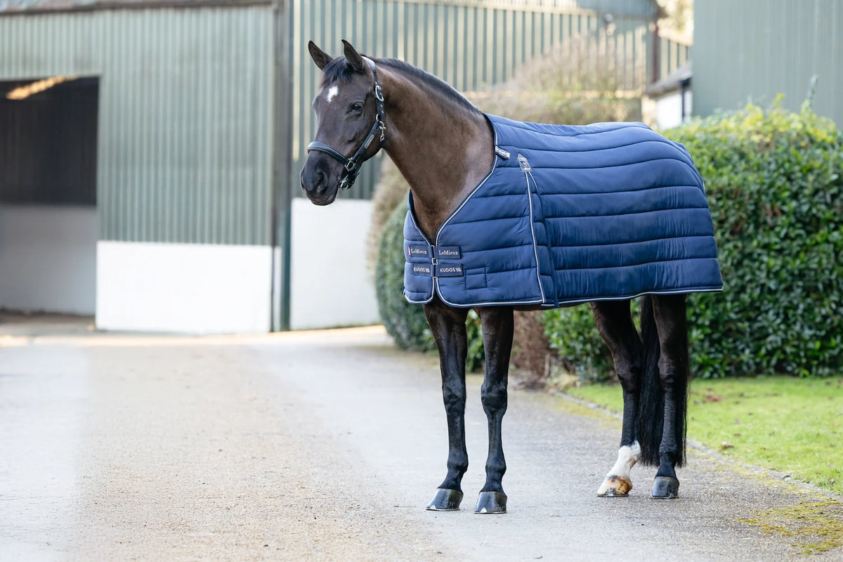 LeMieux Kudos Rug Liner 200g.