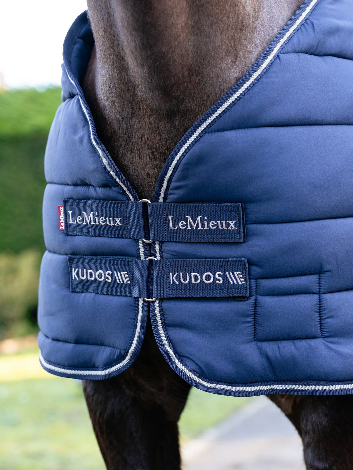 LeMieux Kudos Rug Liner 200g.