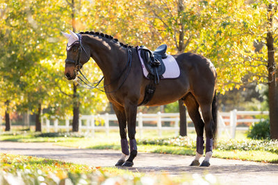 LeMieux Suede Square Dressurunderlag