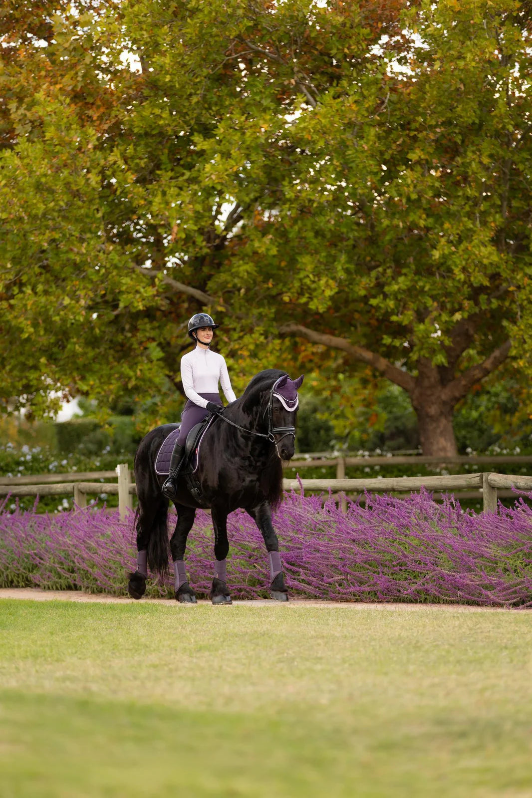 LeMieux Loire Classic Square Dressurunderlag