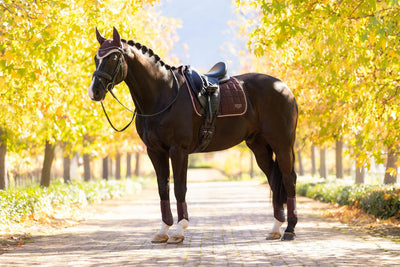 LeMieux Loire Classic Square Dressurunderlag