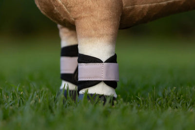 LeMieux Mini Pony Gamacher