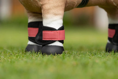 LeMieux Mini Pony Gamacher