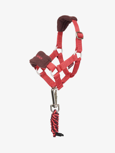 LeMieux Mini Pony Grime