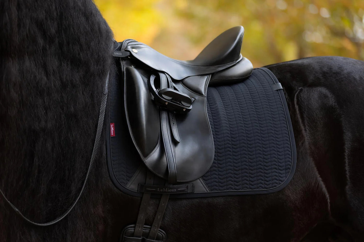 LeMieux Essence Dressurunderlag