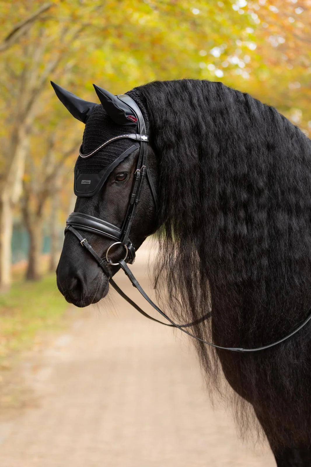 LeMieux Essence Fly Hood