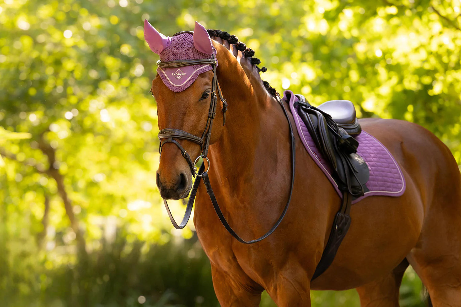 LeMieux Loire Fly Hood