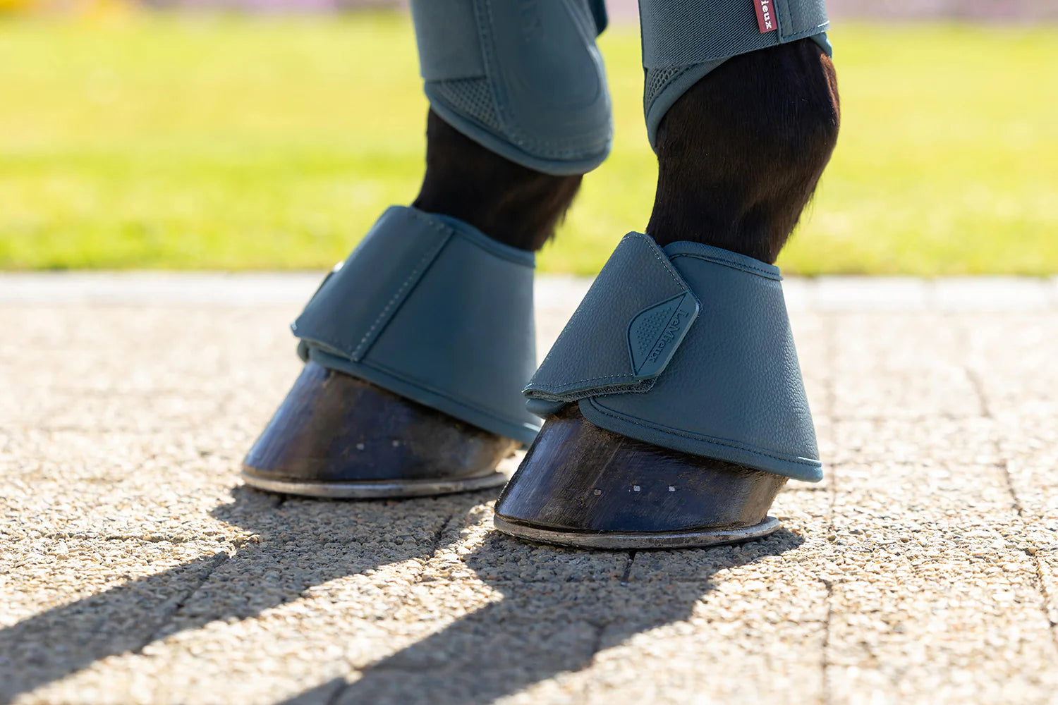 LeMieux Arika Over Reach Boots