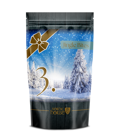 Nordic Horse Christmas Advent Collection