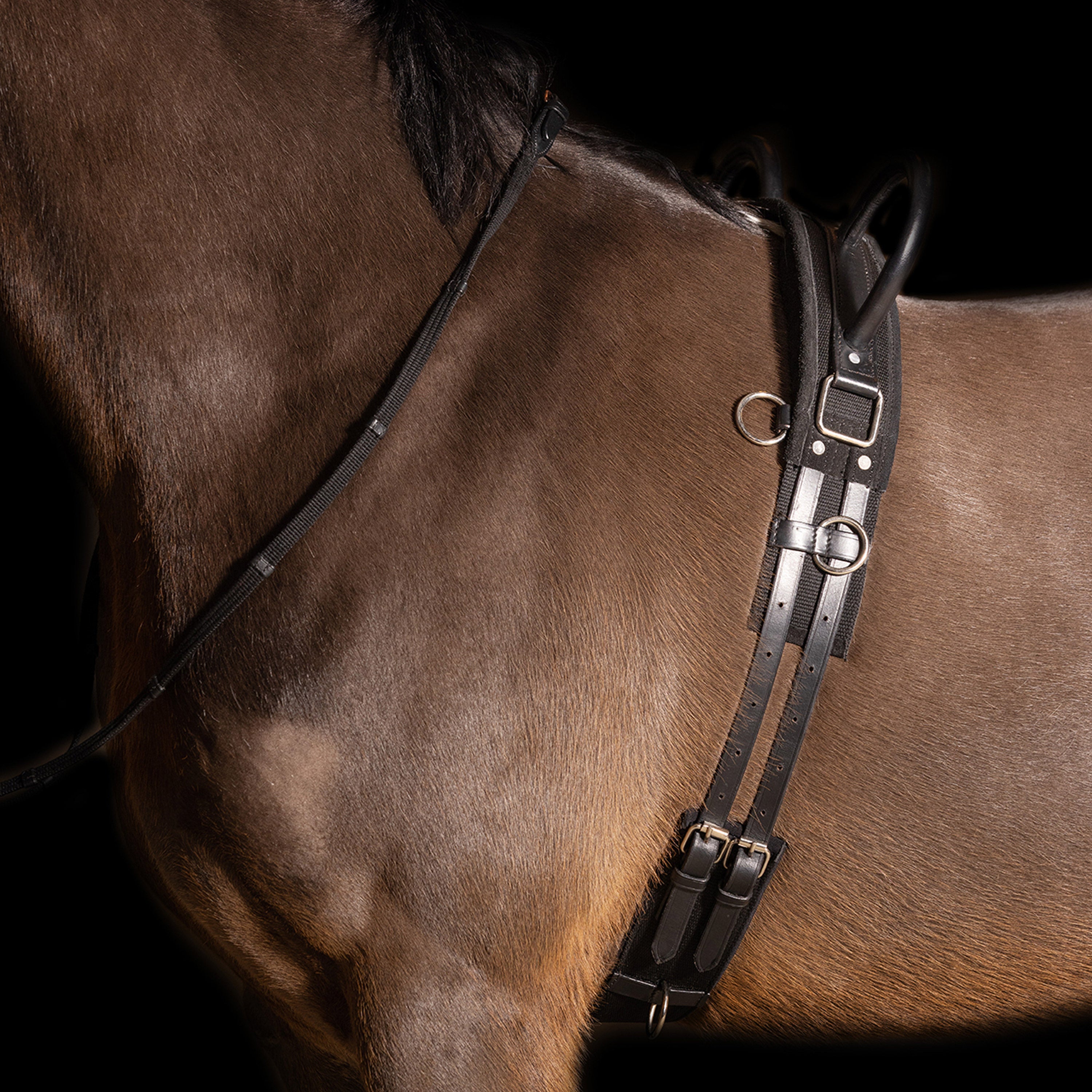 Imperial Riding Lunging Girth IRHVidal