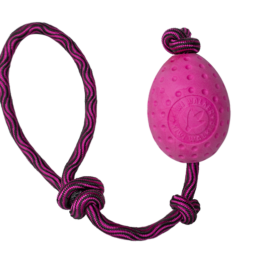 Kiwi Walker® Let Play Egg