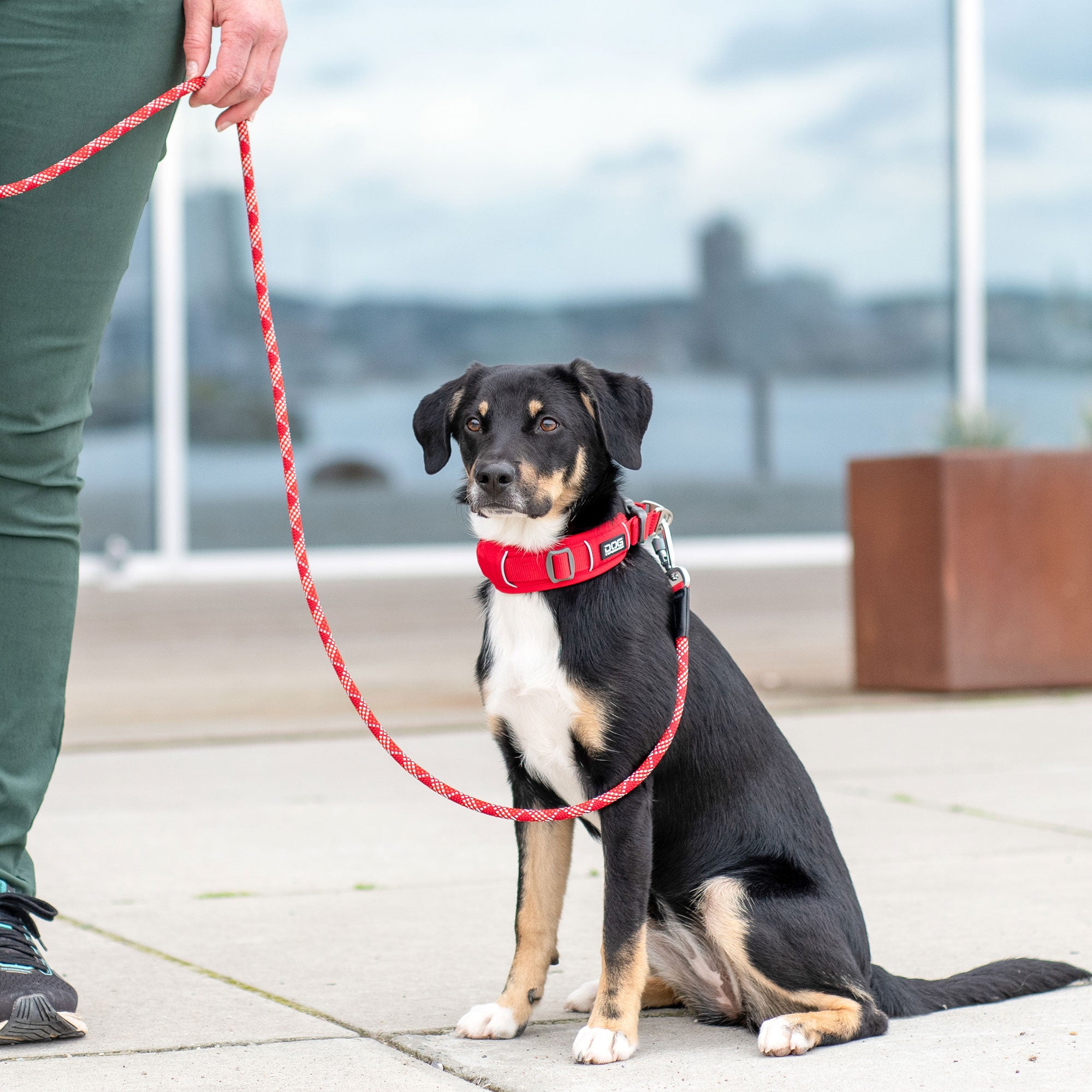 Dog Copenhagen Urban Explorer 3.0 Halsbånd