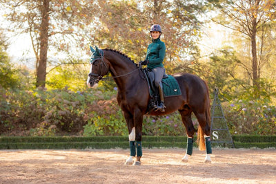 LeMieux Loire Polo Bandage