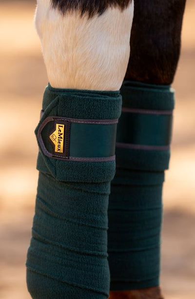 LeMieux Loire Polo Bandage