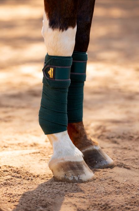 LeMieux Loire Polo Bandage