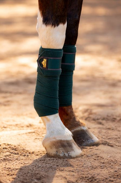 LeMieux Loire Polo Bandage