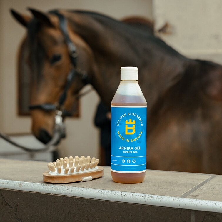 Biofarmab Arnika Liniment Gel