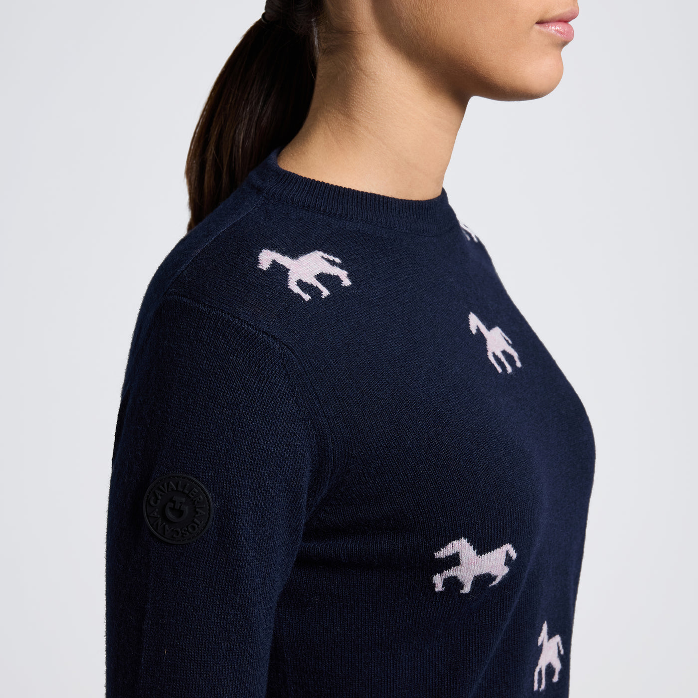 CT W/Jacquard Mini Horses Cashmere Blend Crew Neck Sweater
