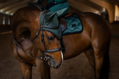 Equestrian Stockholm Hut Sycamore Green