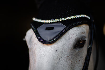 Equestrian Stockholm Winter Shadow Hut