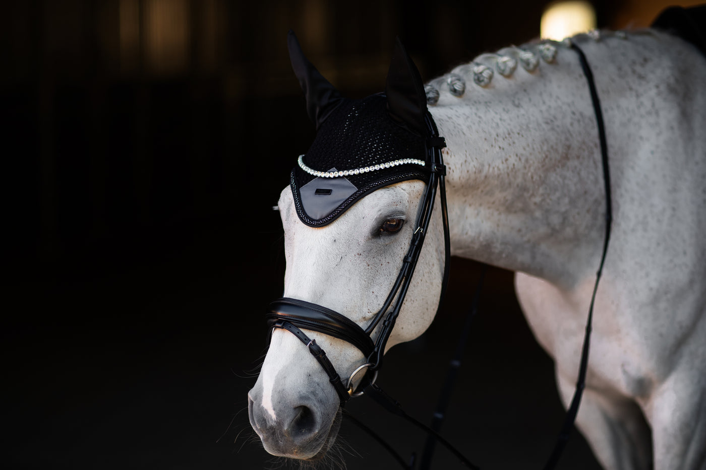 Equestrian Stockholm Winter Shadow Hut