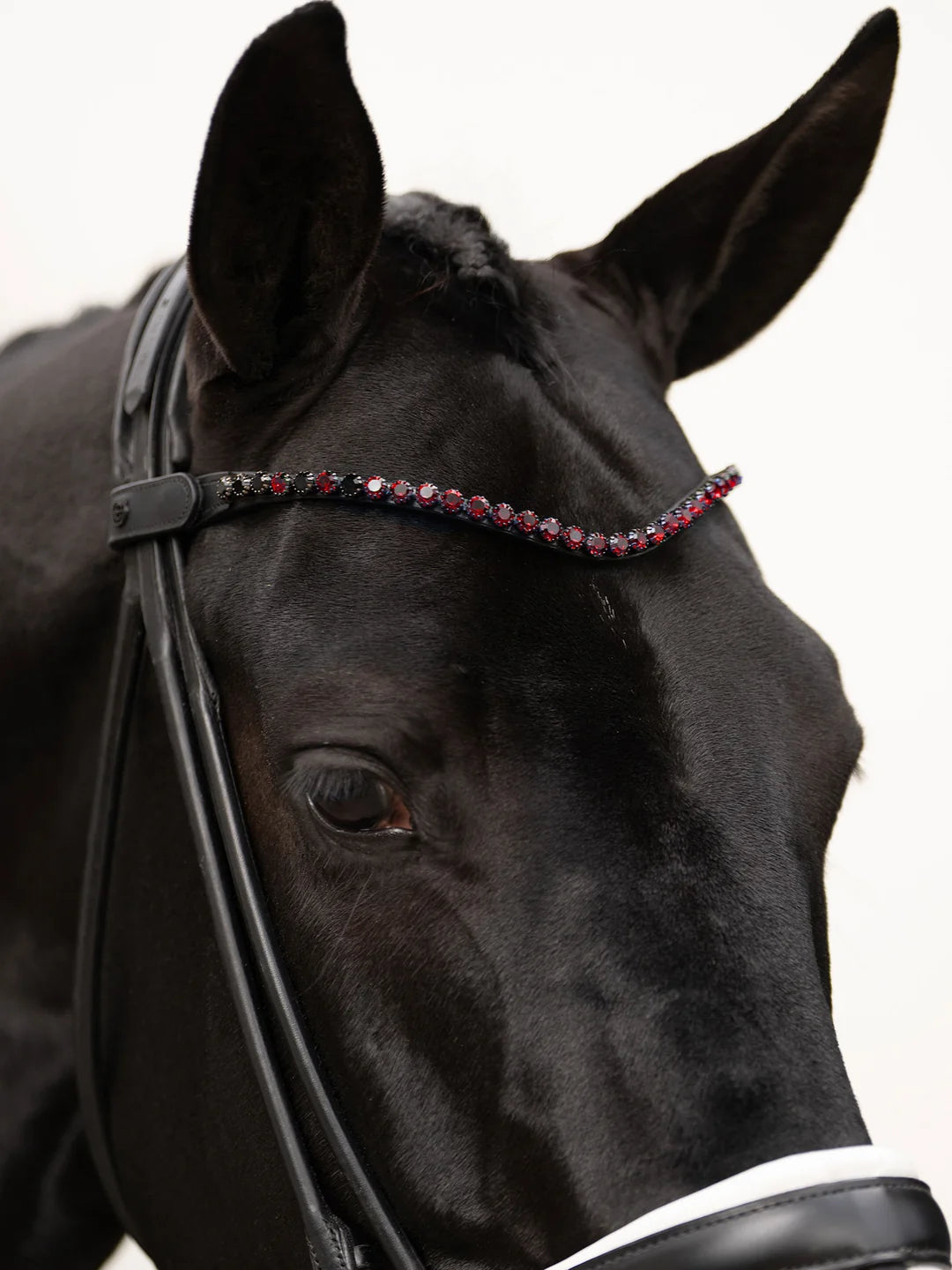 Equestrian Stockholm Browband Faded 8 mm