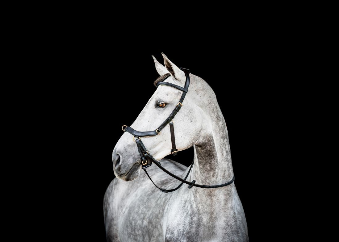 Horseware Micklem 2 Multibridle - OUTLET