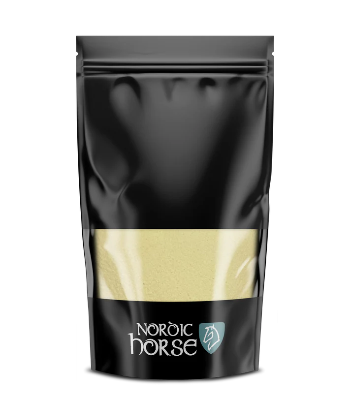 Nordic Horse Foal First Aid