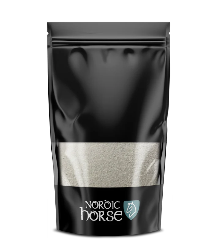 Nordic Horse Foal First Aid
