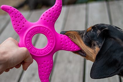 Kiwi Walker® Let Play Octopus & Starfish