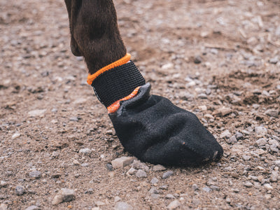 Non-Stop Dogwear Protector Bootie