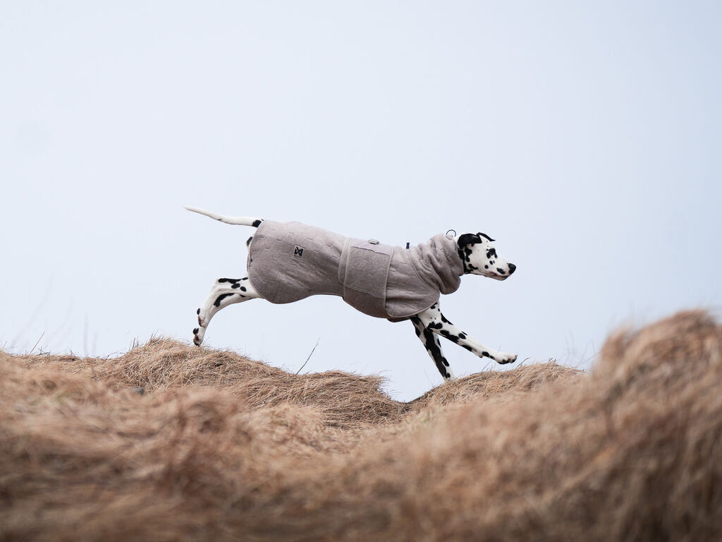 Non-Stop Dogwear Drying Coat