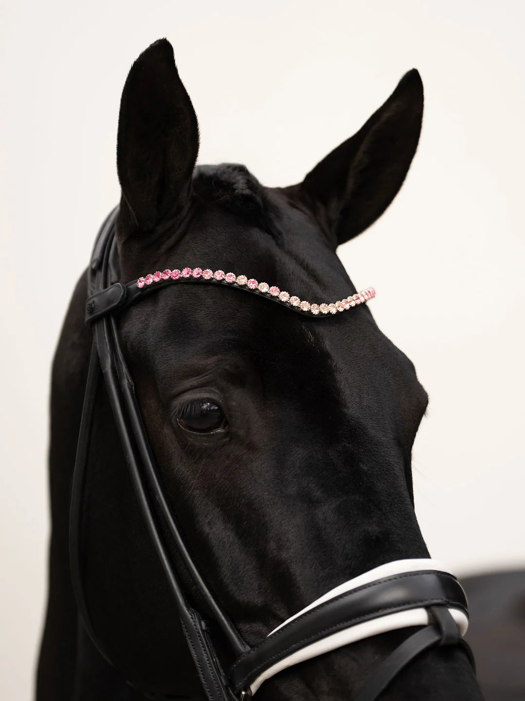 Equestrian Stockholm Browband Faded 8 mm