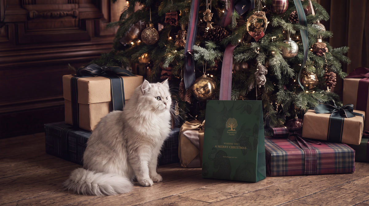 Essential Foods Christmas Present For Cat Limited Edition