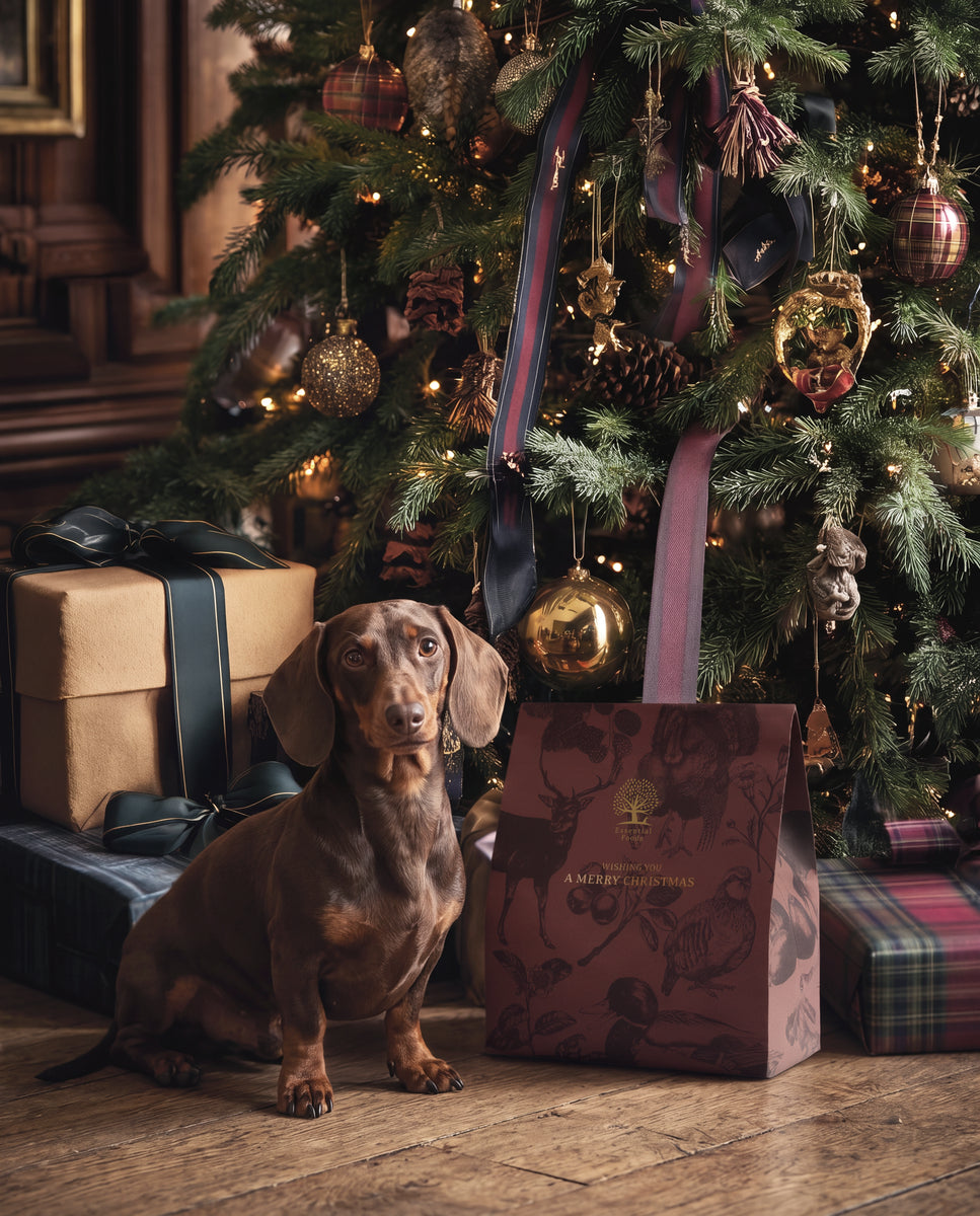 Essential Foods Christmas Present For Dog Limited Edition