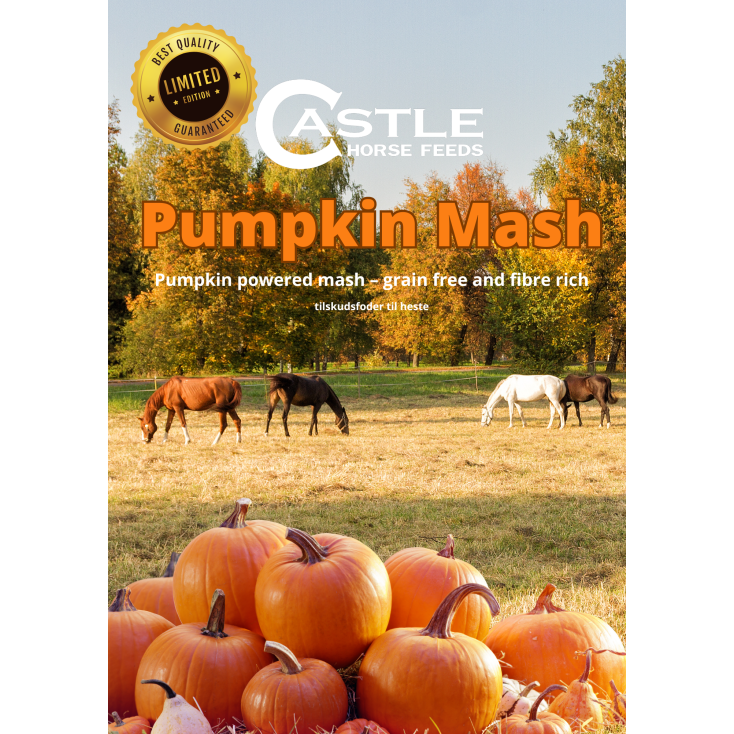 Castle Horse Feeds Pumpkin Mash