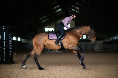 Equestrian Stockholm Anemone Springunderlag