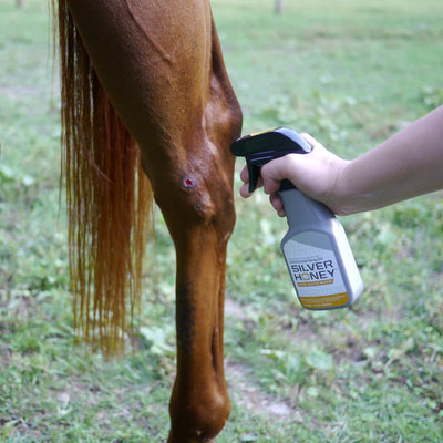 Absorbine Silver Honey Spray Gel