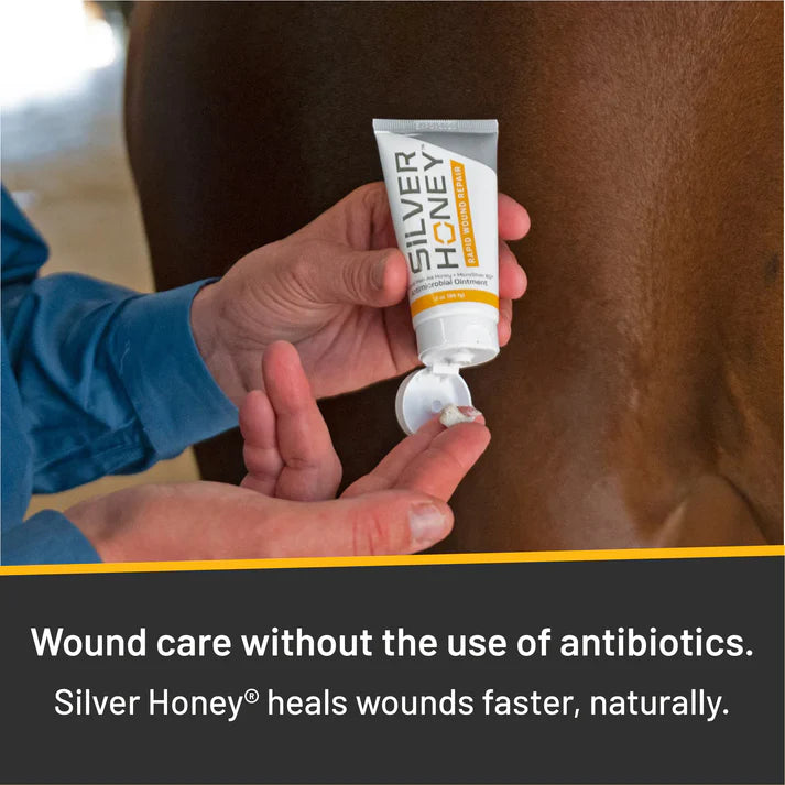 Absorbine Silver Honey Ointment