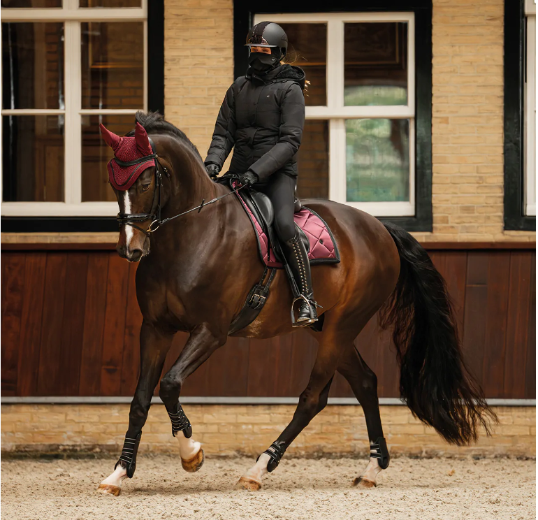 QHP Rayah Balaclava
