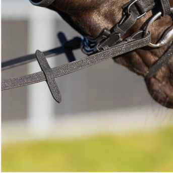 QHP Web Reins Glitter
